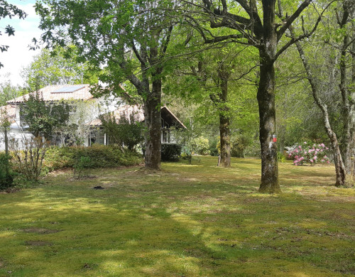 maison  SOUSTONS