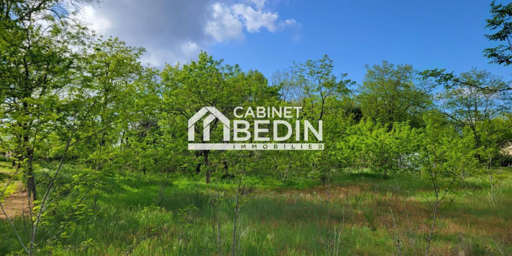 terrain à SANGUINET (40460)