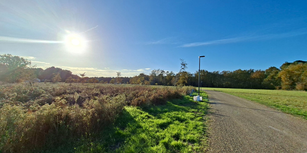 terrain à ST MICHEL ESCALUS (40550)