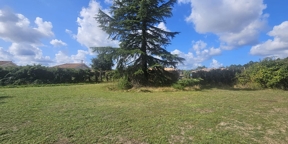 terrain à PARENTIS EN BORN (40160)