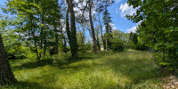 terrain à MONT DE MARSAN (40000)