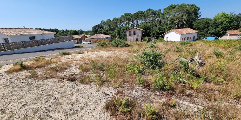 terrain à LIT ET MIXE (40170)