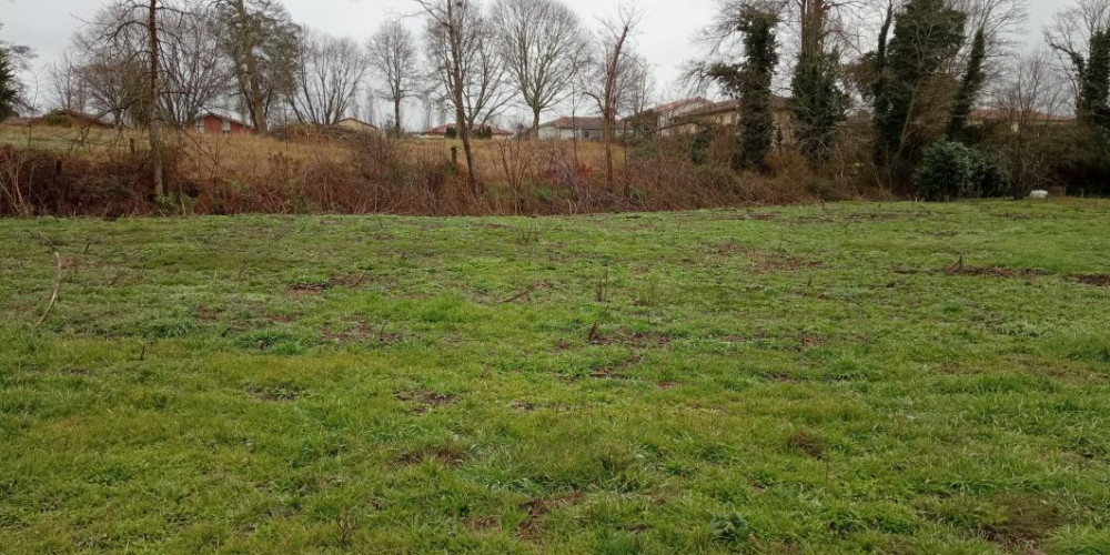 terrain à RION DES LANDES (40370)