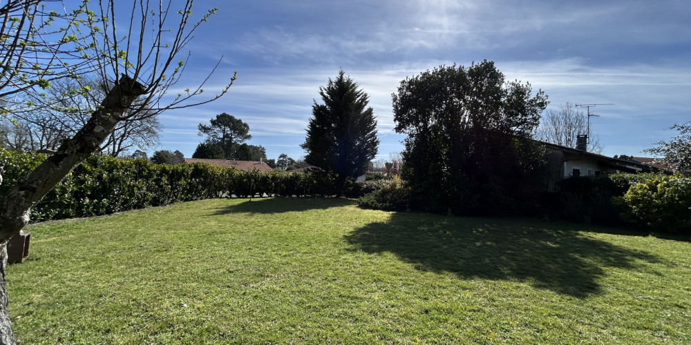 terrain à SEIGNOSSE (40510)