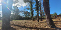 terrain à MOLIETS ET MAA (40660)
