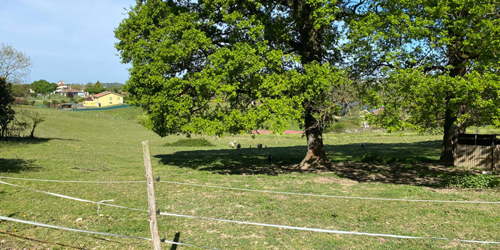 maison à HAURIET (40250)