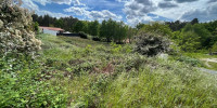 terrain à RION DES LANDES (40370)