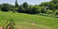 terrain à HABAS (40290)