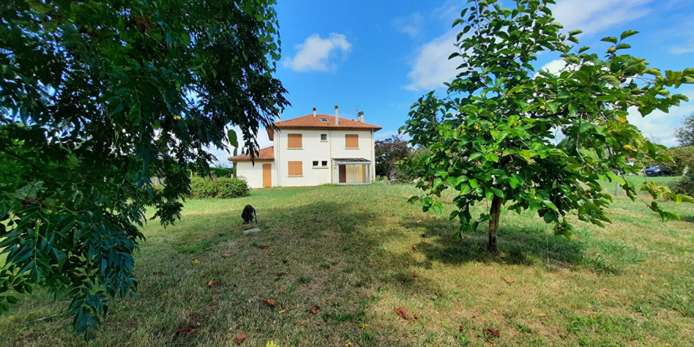 maison à ST JEAN DE MARSACQ (40230)