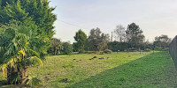 terrain à SOUSTONS (40140)