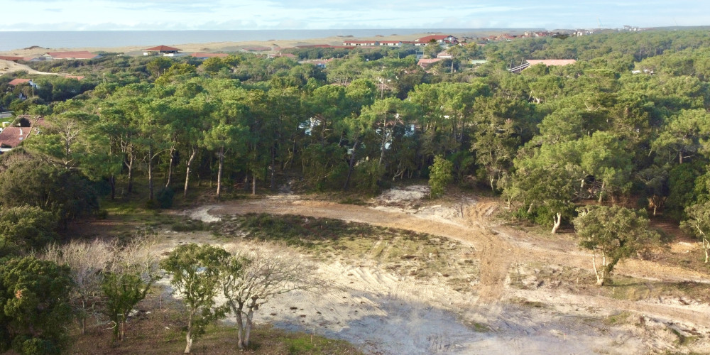 terrain à SEIGNOSSE (40510)