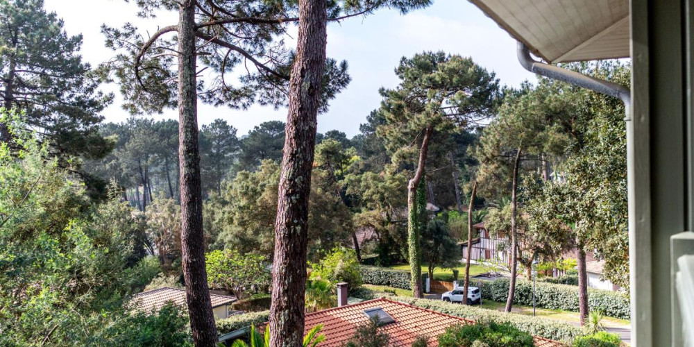 maison à SEIGNOSSE (40510)