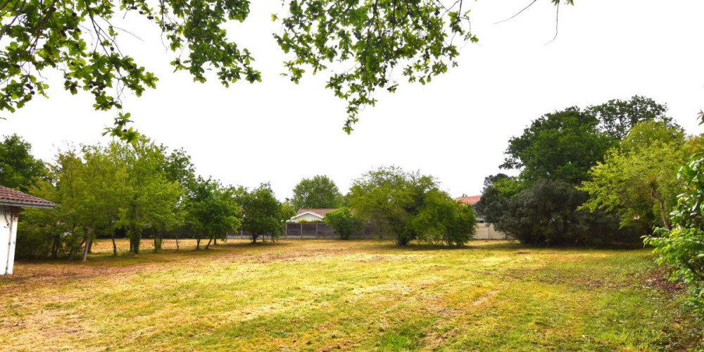 terrain à TOSSE (40230)