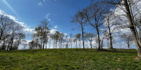 terrain à MAZEROLLES (40090)