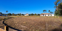 terrain à MOLIETS ET MAA (40660)