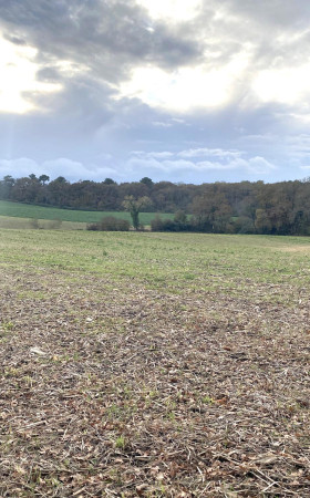 Terrain  CASTELNAU TURSAN