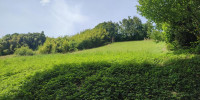 terrain à LABATUT (40300)