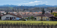 terrain à PEYREHORADE (40300)