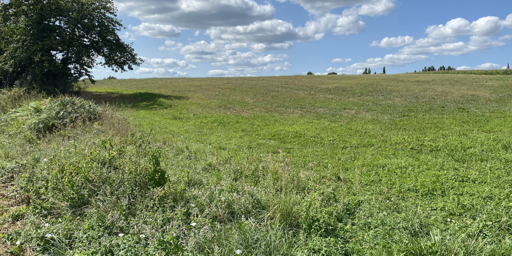 terrain à HAGETMAU (40700)