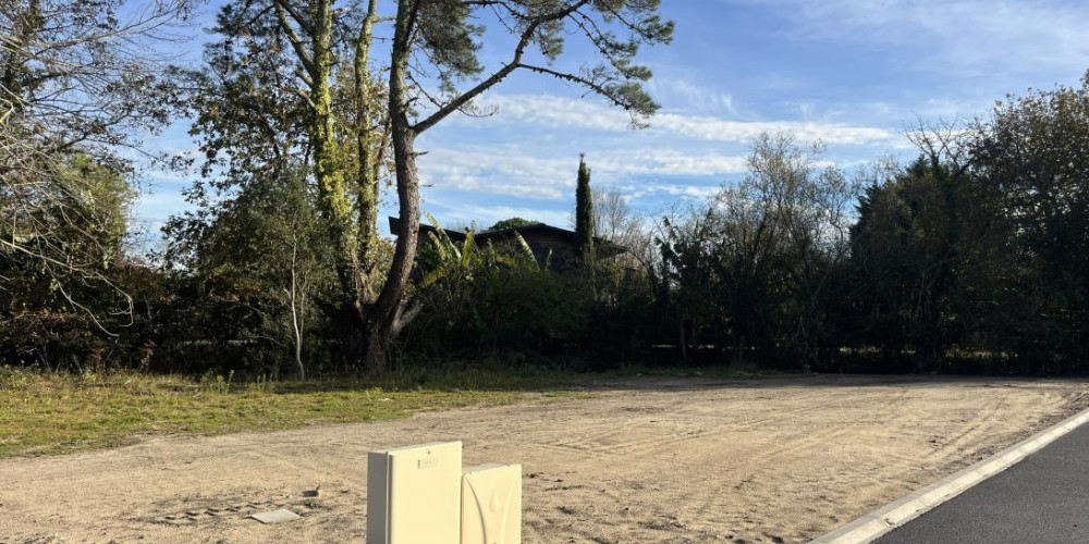 terrain à SEIGNOSSE (40510)
