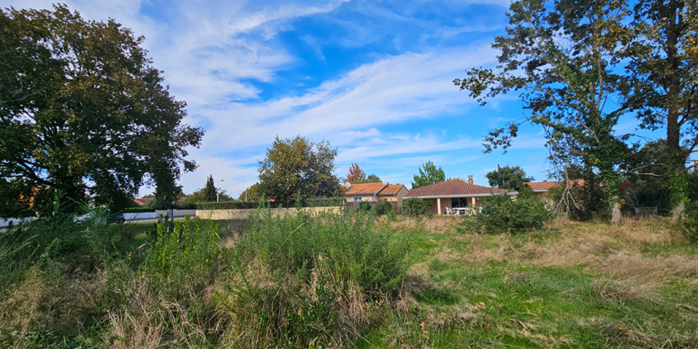 terrain à BISCARROSSE (40600)