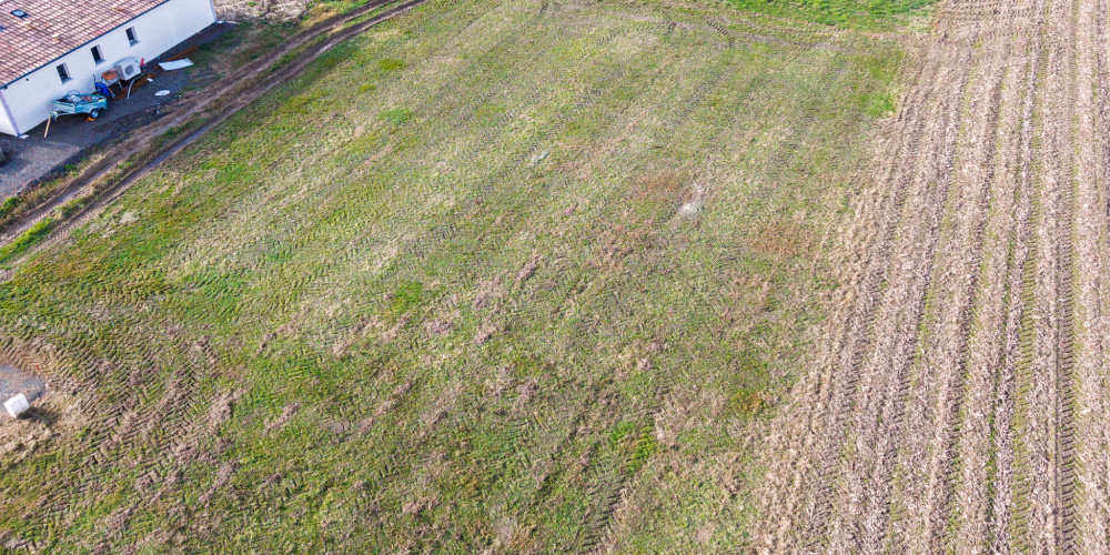 terrain à ST MARTIN DE HINX (40390)