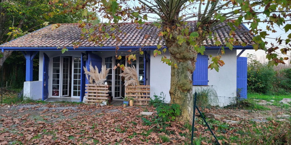 maison à ST MARTIN DE HINX (40390)