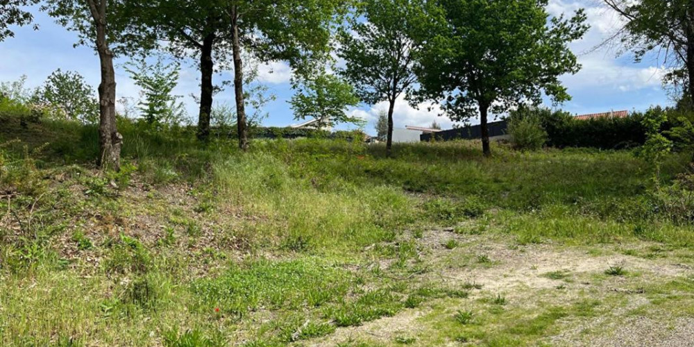 terrain à RION DES LANDES (40370)