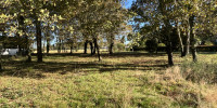 terrain à MAGESCQ (40140)