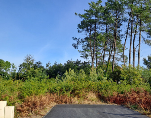 terrain  MOLIETS ET MAA