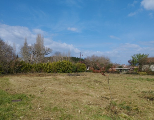 terrain  RION DES LANDES