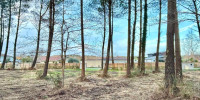 terrain à SEIGNOSSE (40510)