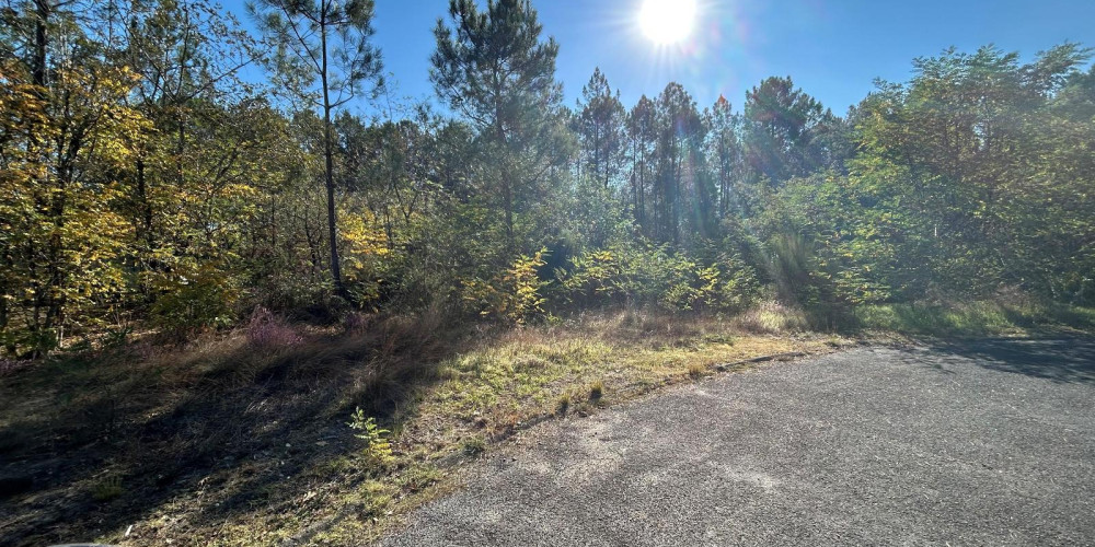 terrain à RETJONS (40120)