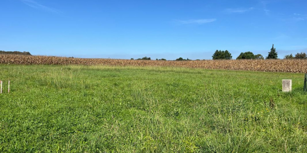 terrain à ONARD (40380)