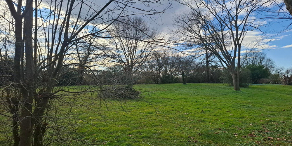 terrain à ST JEAN DE MARSACQ (40230)