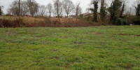 terrain à RION DES LANDES (40370)