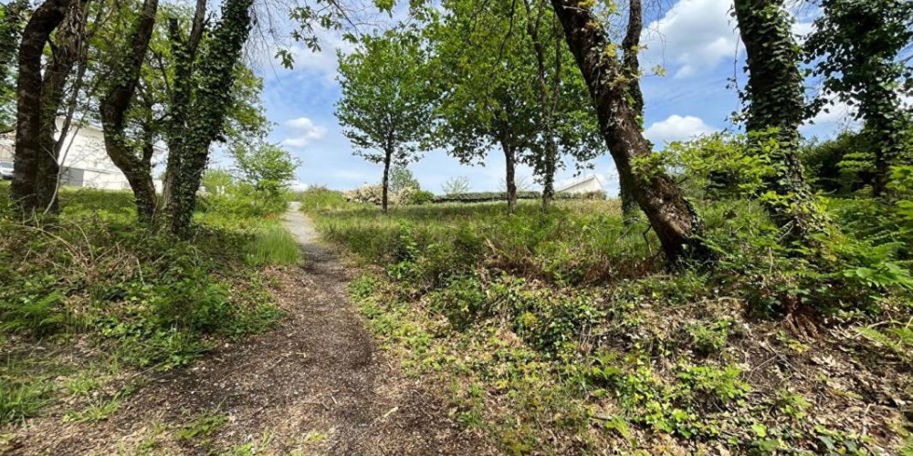 terrain à RION DES LANDES (40370)
