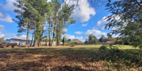 terrain à MOLIETS ET MAA (40660)