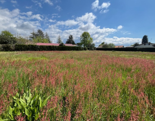 terrain  LIT ET MIXE