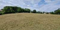 terrain à HABAS (40290)