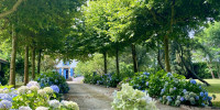 maison à ST SEVER (40500)