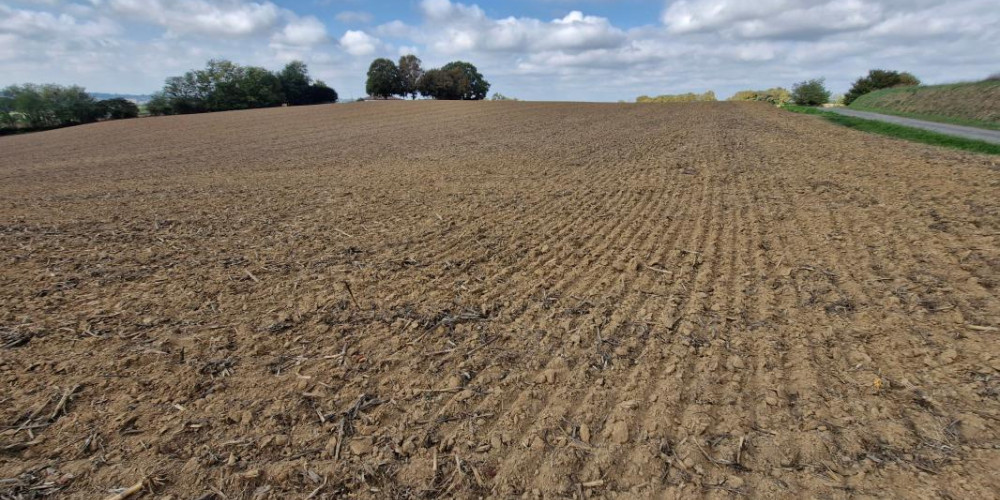 terrain à ST AUBIN (40250)