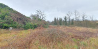 terrain à MONT DE MARSAN (40000)