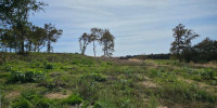 terrain à MAZEROLLES (40090)