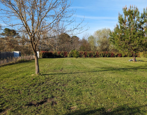 terrain  LIT ET MIXE