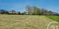 terrain à ONDRES (40440)
