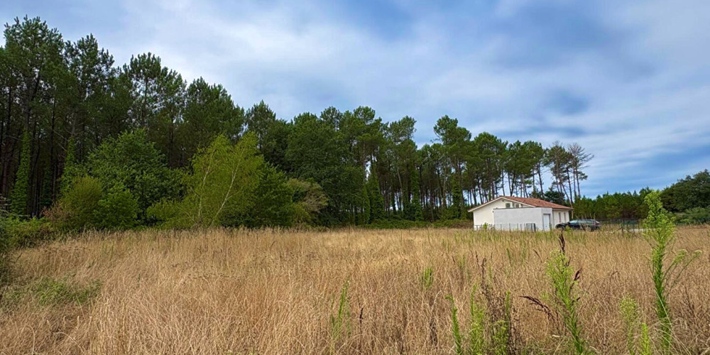 terrain à RION DES LANDES (40370)
