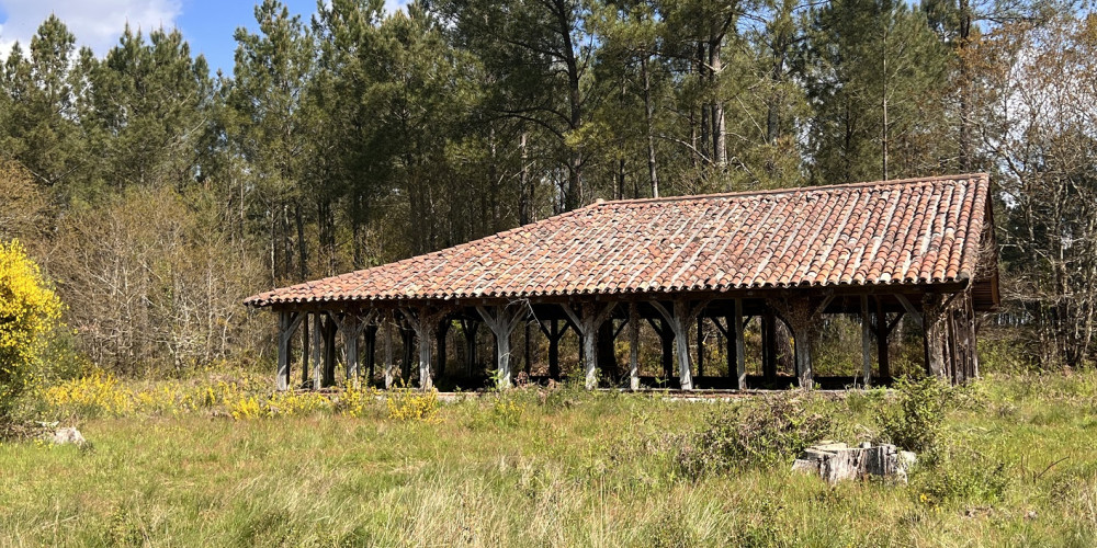 maison à ONESSE LAHARIE (40110)