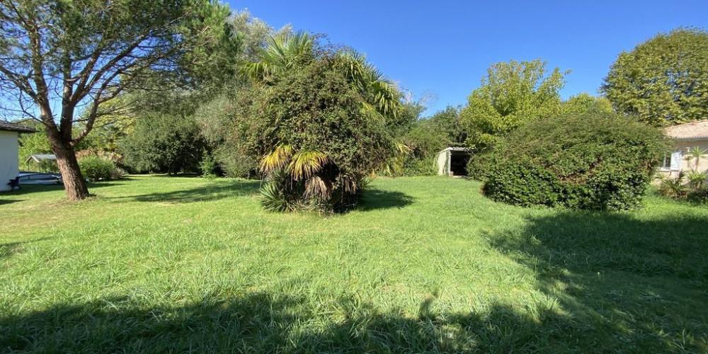 terrain à ST MARTIN DE HINX (40390)