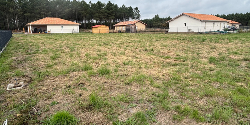 terrain à SOLFERINO (40210)